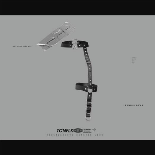 TECHNOFOLK_Consequences Leg Harness_001.