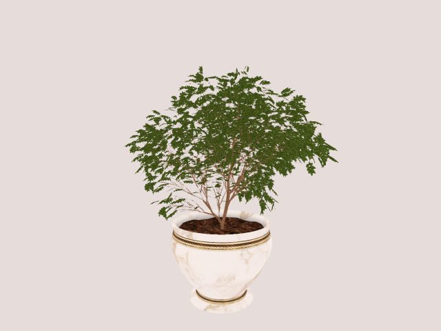 Green Mesh Plant In white Pot