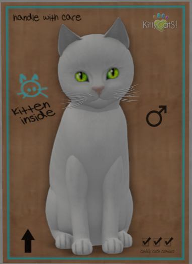 KittyCatS Box - Russian - White