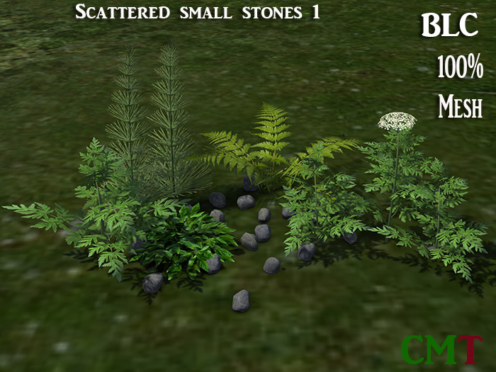 BLC Scattered Small Stones 1