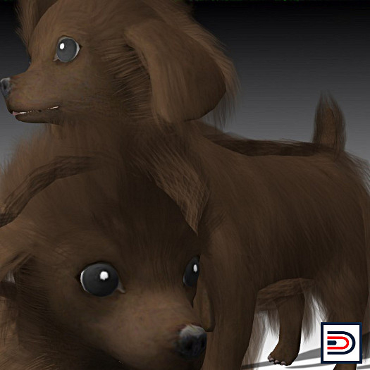[Danielito] Poodle Brown Dog