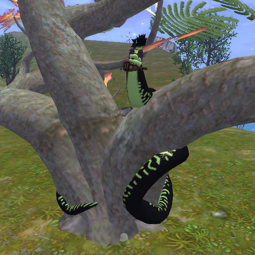 MMnM Bento Naga Tree