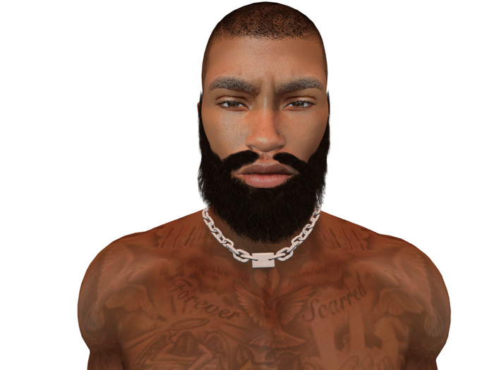 Hollyhood Hair - Zaddy with a Stache