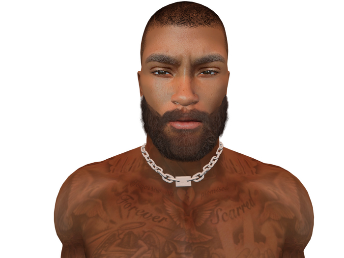 Hollyhood Hair - Ivan Beard