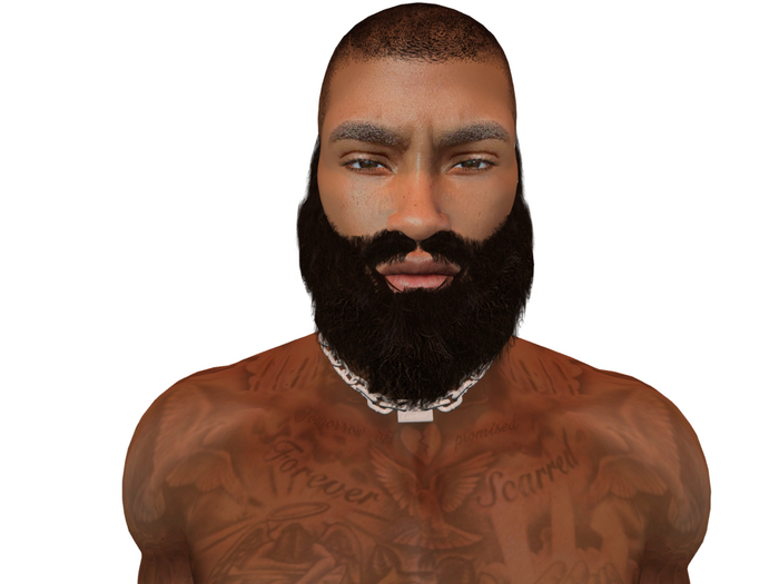 Hollyhood Hair - Full Zaddy with a Stache Beard