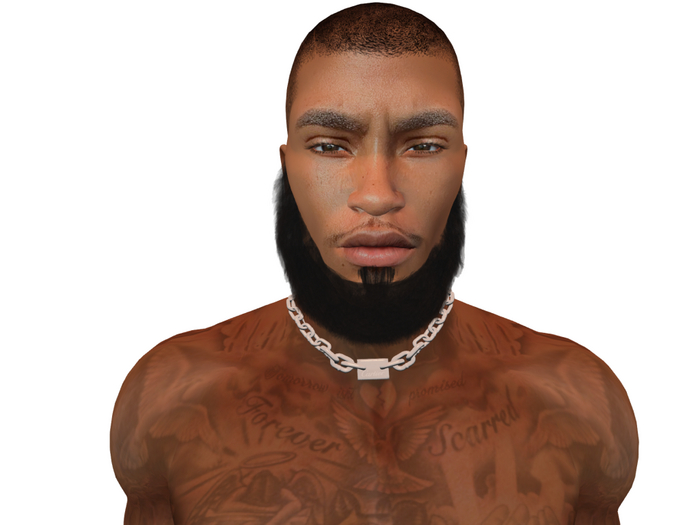 Hollyhood Hair - Daddy Beard