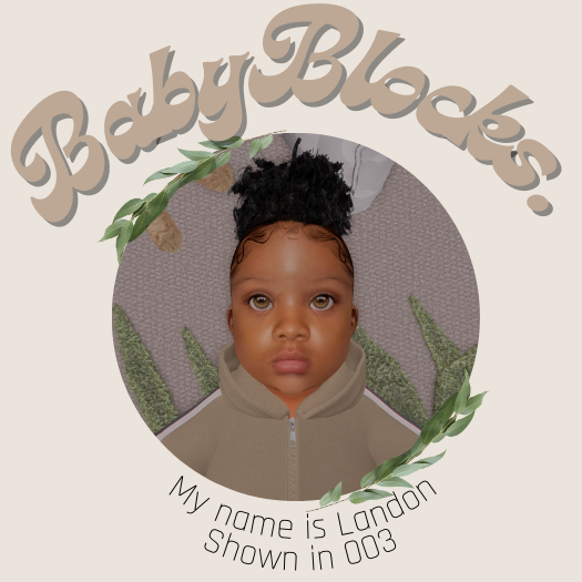 BabyBlocks. Landon Skin 003
