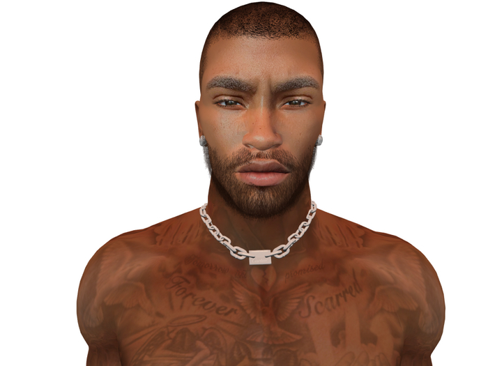 Hollyhood Hair - Gino Beard