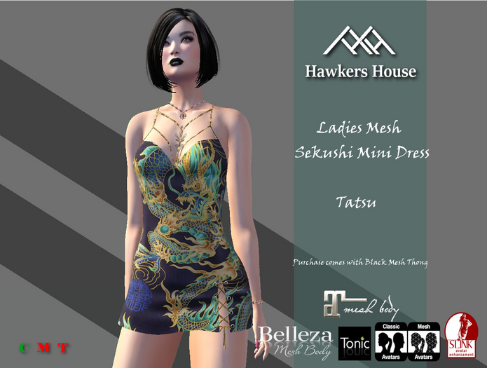 *HH* Ladies Mesh Sekushi Mini Dress Tatsu