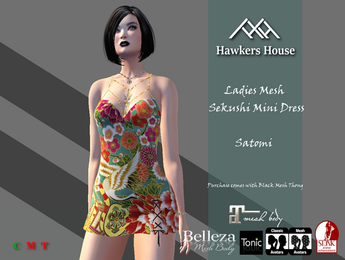 *HH* Ladies Mesh Sekushi Mini Dress Satomi