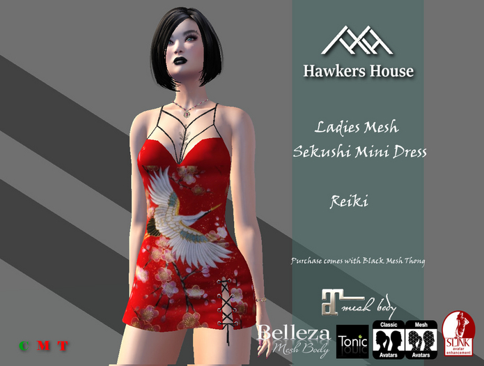 *HH* Ladies Mesh Sekushi Mini Dress Reiki