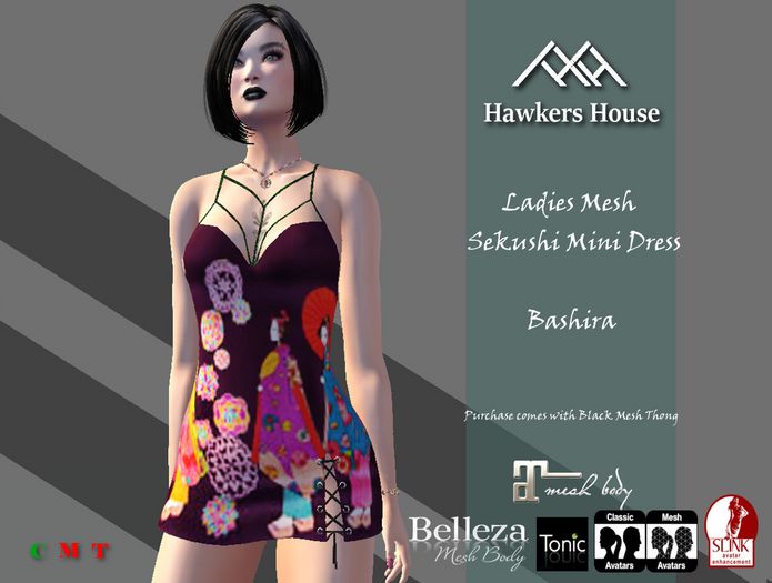 *HH* Ladies Mesh Sekushi Mini Dress Bashira