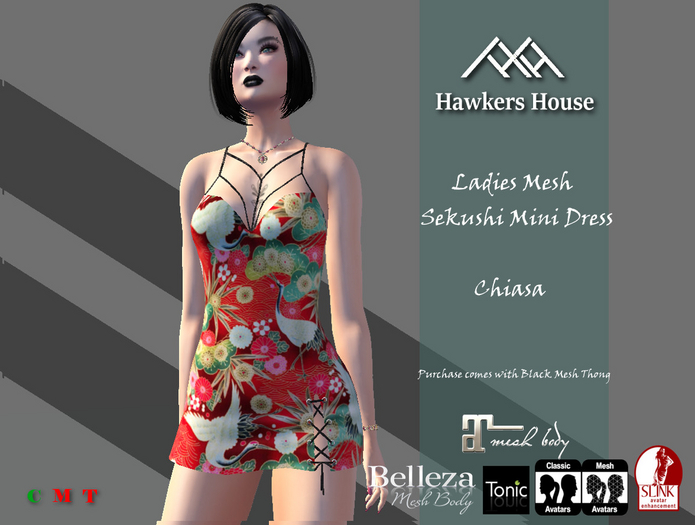 *HH* Ladies Mesh Sekushi Mini Dress Chiasa
