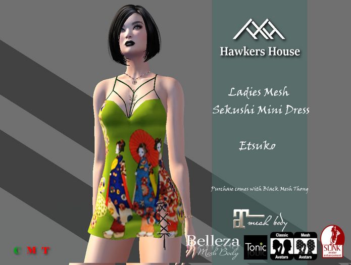 *HH* Ladies Mesh Sekushi Mini Dress Etsuko