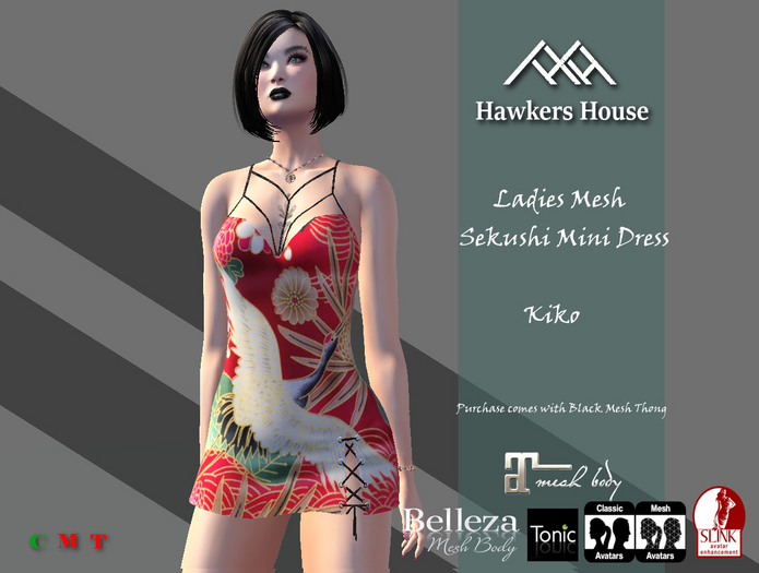 *HH* Ladies Mesh Sekushi Mini Dress Kiko