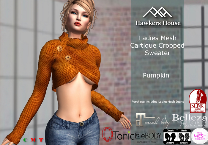 *HH* Ladies Mesh Cartique Cropped Sweater Pumpkin