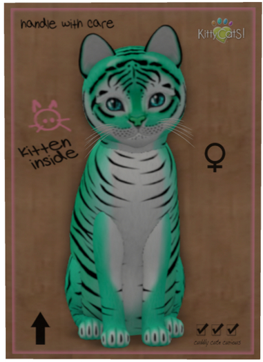 KittyCatS Box - Tiger! - Seafoam