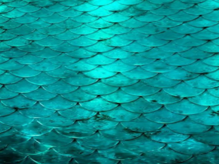 Aqua Scales Texture