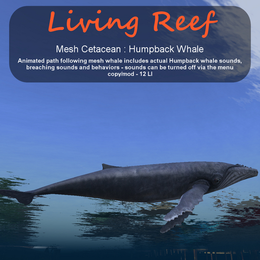 Inochi Reef - Mesh Humpback Whale