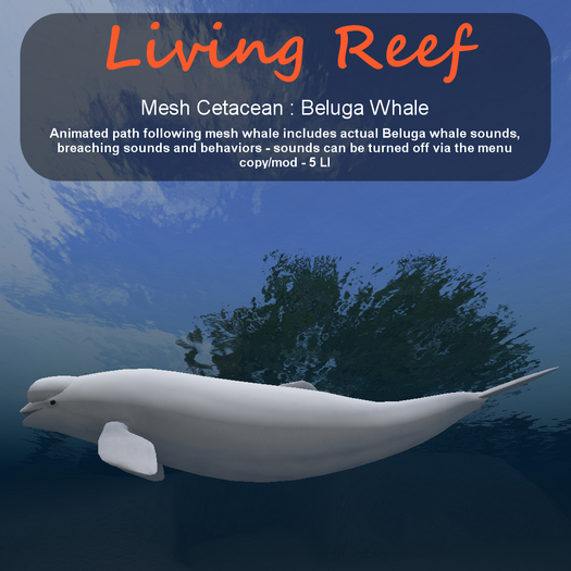 Inochi Reef - Mesh Beluga Whale