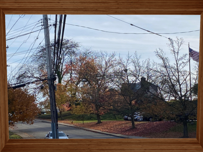 Autumn Days