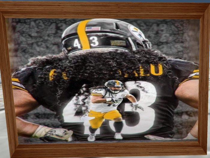 Troy Polamalu