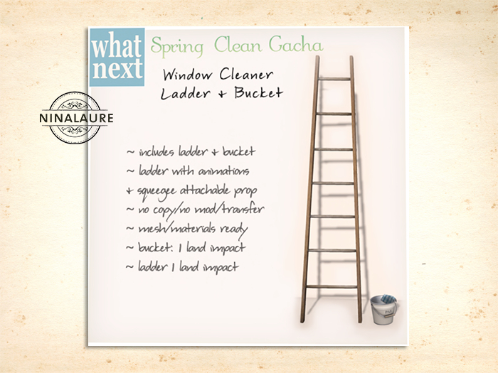 {what next} Window Cleaner Ladder & Bucket (boxed)