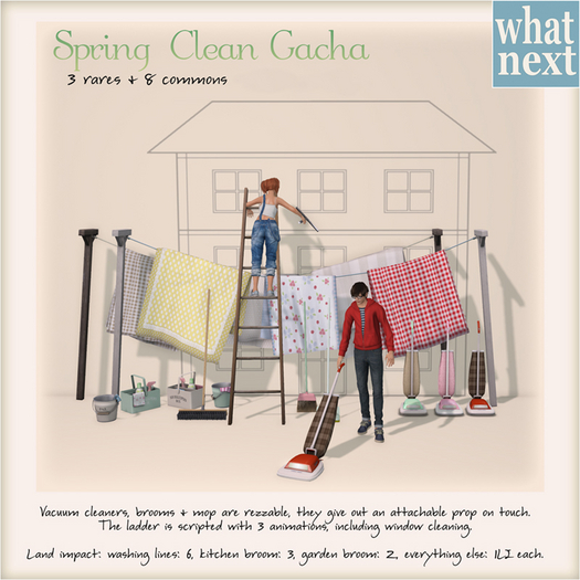 {what next} Cottage Washing Line (boxed)