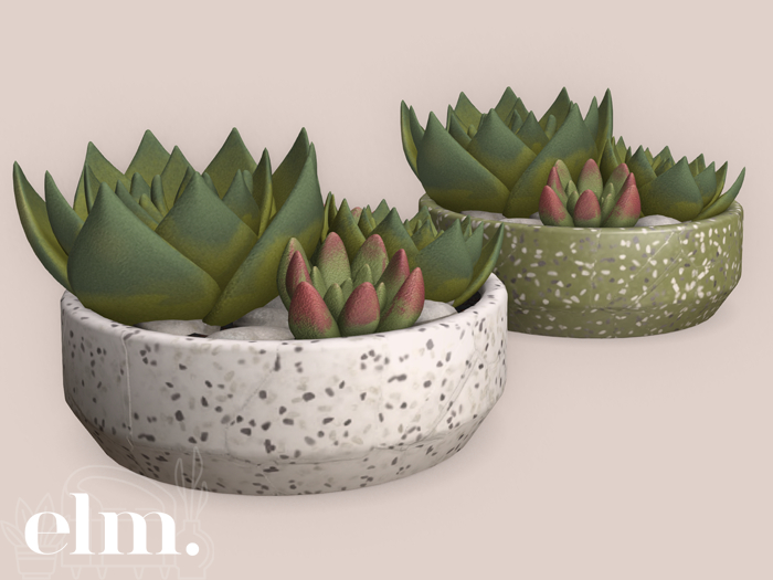 Elm. Emily Console Decor ~ Succulents