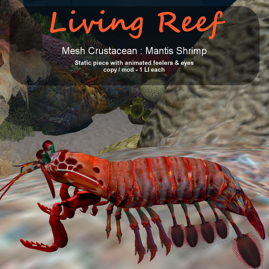 Inochi Reef : Mesh Crustacean - Mantis Shrimp