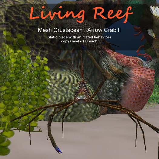 Inochi Reef : Mesh Crustacean - Arrow Crab II
