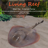 Inochi Reef : Mesh Fish - Andaman Fanray