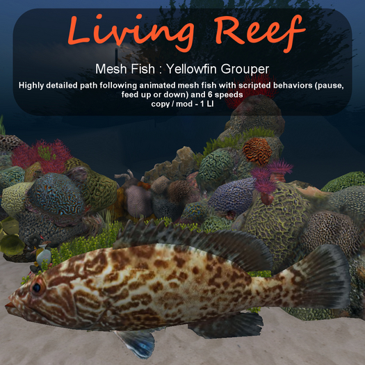 Inochi Reef : Mesh Fish - Yellowfin Grouper
