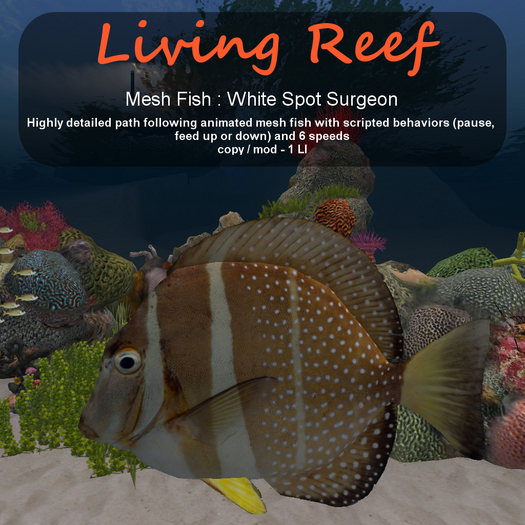 Inochi Reef : Mesh Fish - White Spot Surgeon