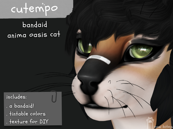 ct. bandaid / oasis cat : promo!