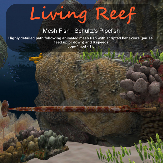 Inochi Reef : Mesh Fish - Schultz's Pipefish