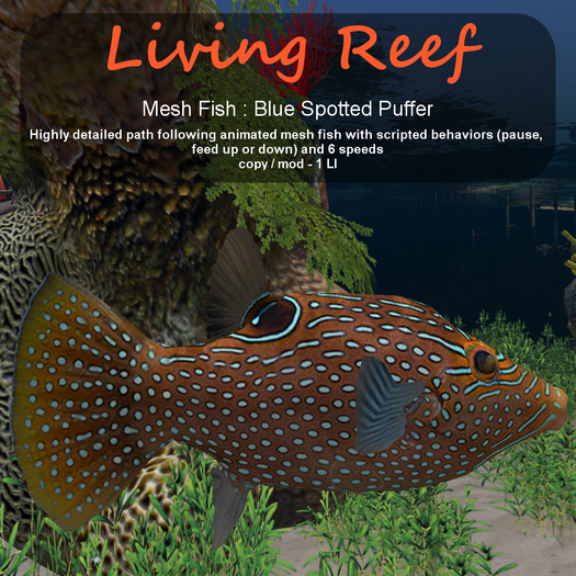 Inochi Reef : Mesh Fish - Blue Spotted Puffer