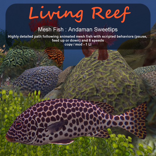 Inochi Reef : Mesh Fish - Andaman Sweetlips