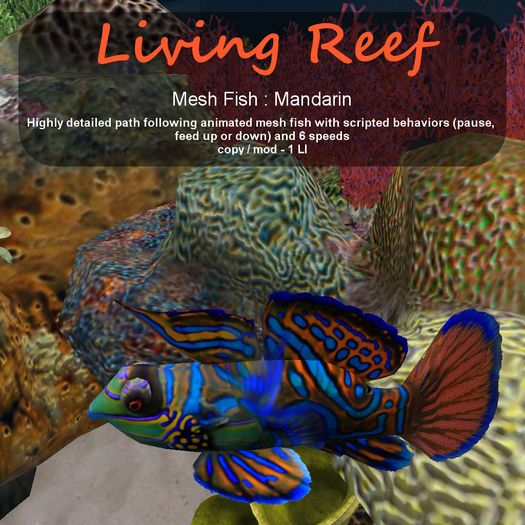 Inochi Reef : Mesh Fish - Mandarin