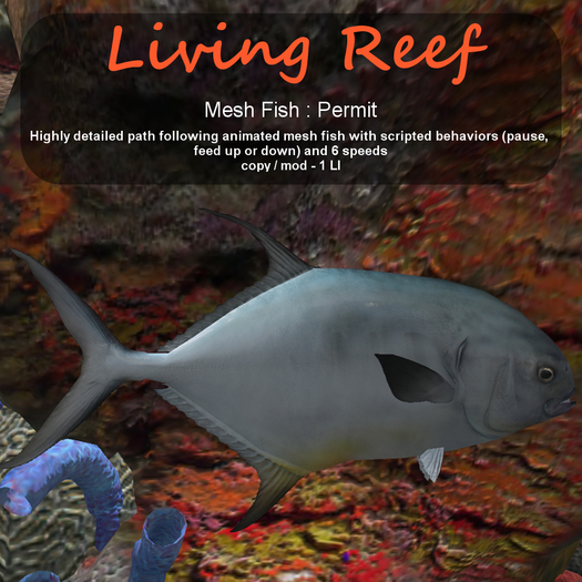 Inochi Reef : Mesh Fish - Permit