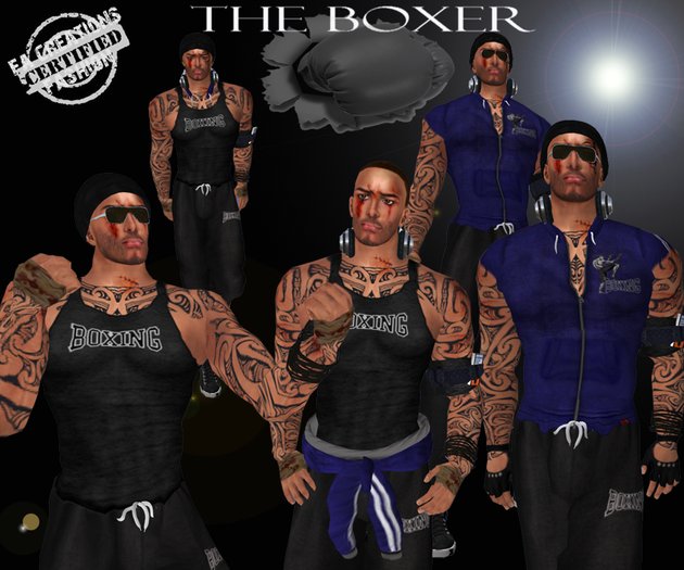 The Boxer