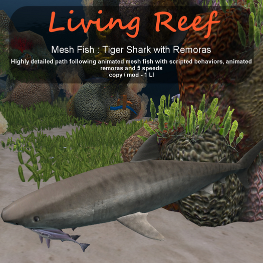 Inochi Reef : Mesh Fish - Tiger Shark W/ Remoras
