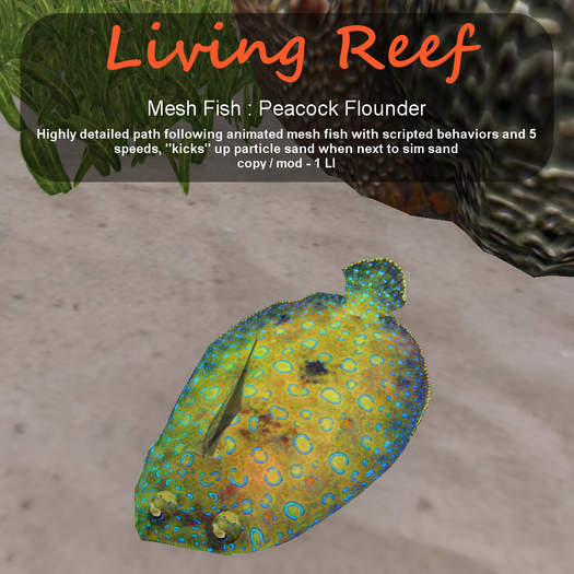 Inochi Reef : Mesh Fish - Peacock Flounder