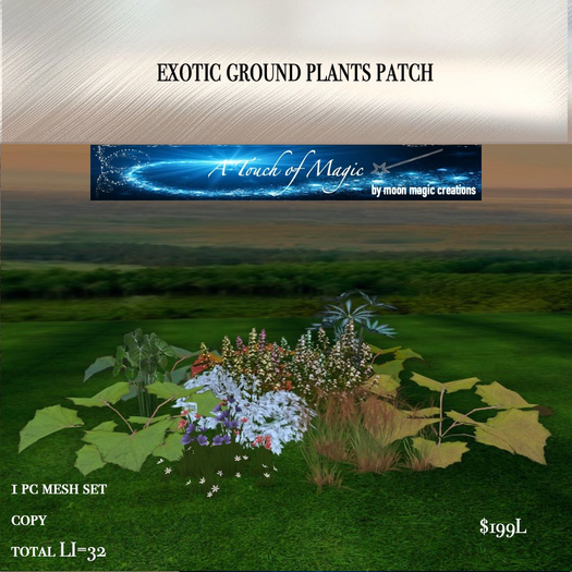 Exotic ground plant grouping patch-Box LI=32