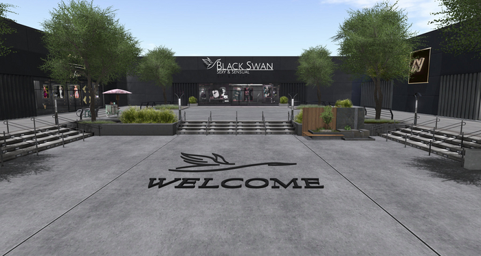 ! Black Swan ! Black Swan rental - store for rent
