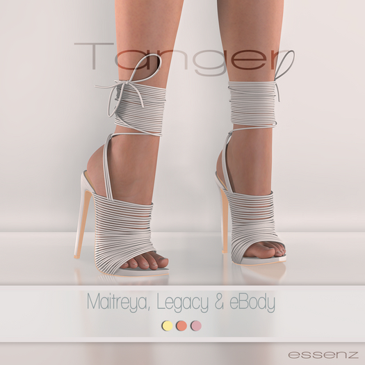 Essenz - Tanger (Pack 5)