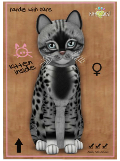 KittyCatS Box - Genesis - Bandit II - (female) 