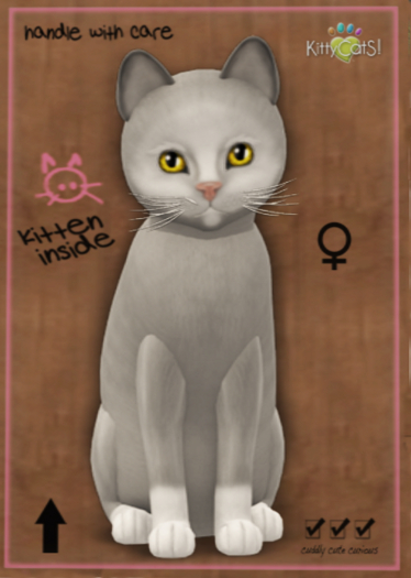 KittyCatS Box - Genesis - Diamond II (Female) Sunshine
