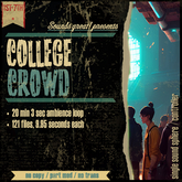 Sounds Great! Single Controller - College Crowd Chatter