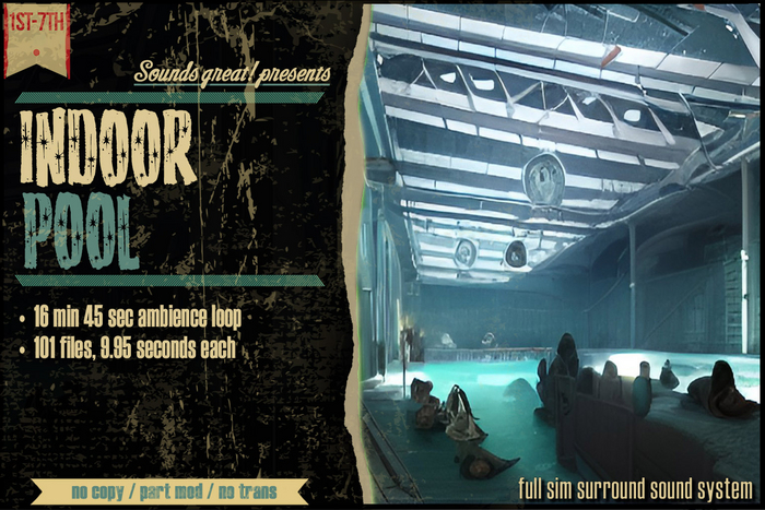 Sounds Great! Ambient System - Busy Indoor Pool